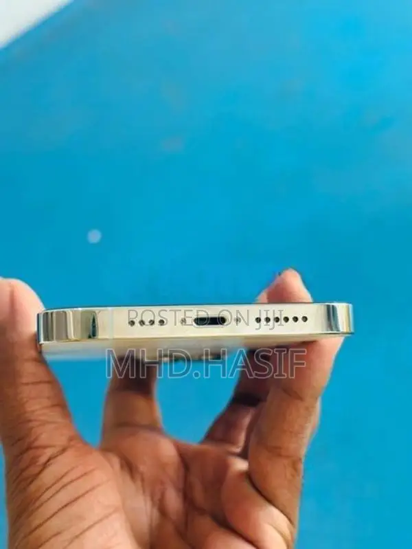Apple iPhone 13 Pro Max (Used)