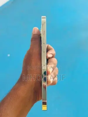 Apple iPhone 13 Pro Max (Used)