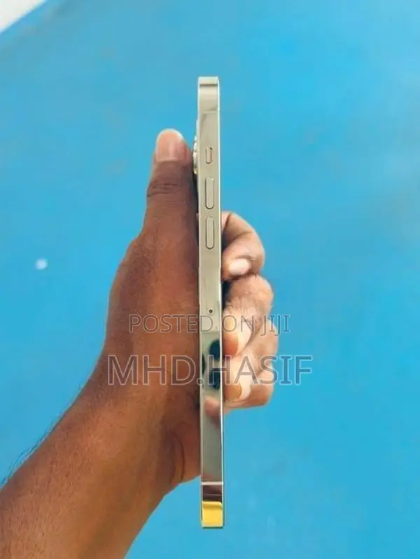 Apple iPhone 13 Pro Max (Used)