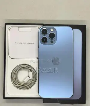 Apple iPhone 13 Pro Max (Used)
