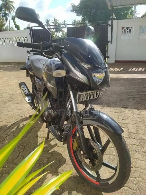 Bajaj Pulsar 150 UG4 2019
