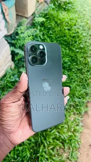 Apple iPhone 13 Pro Max (Used)