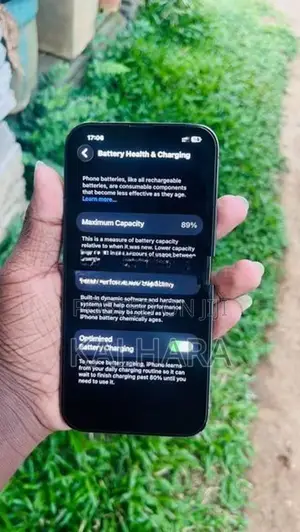 Apple iPhone 13 Pro Max (Used)