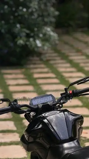 Yamaha MT 15 ABS 2019