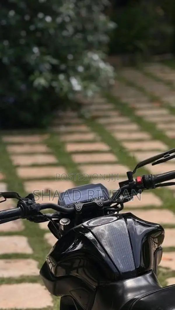 Yamaha MT 15 ABS 2019