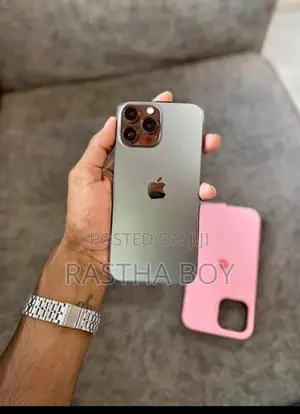 Apple iPhone 13 Pro Max 128GB (Used)