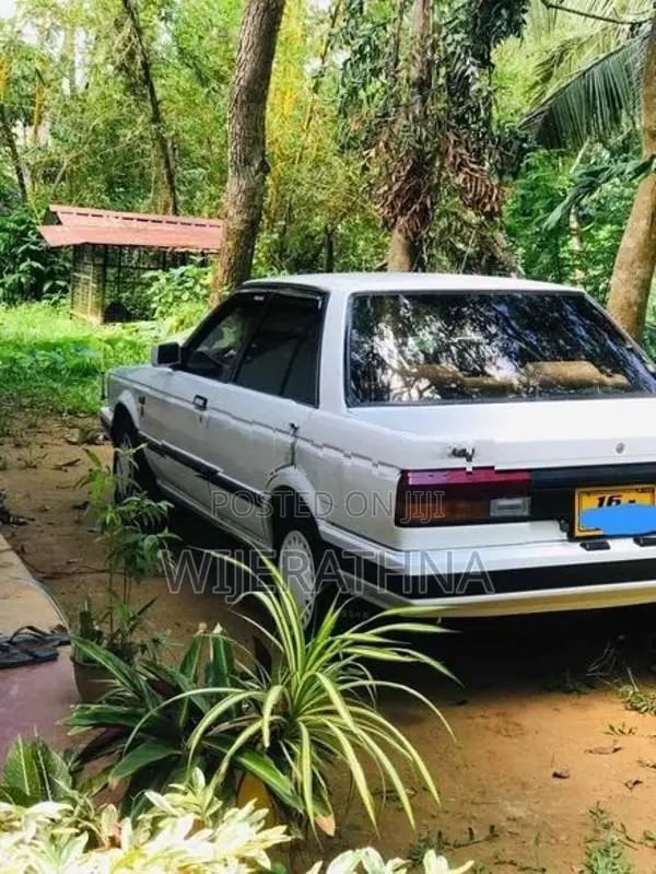 Nissan Sunny Super Saloon 1986