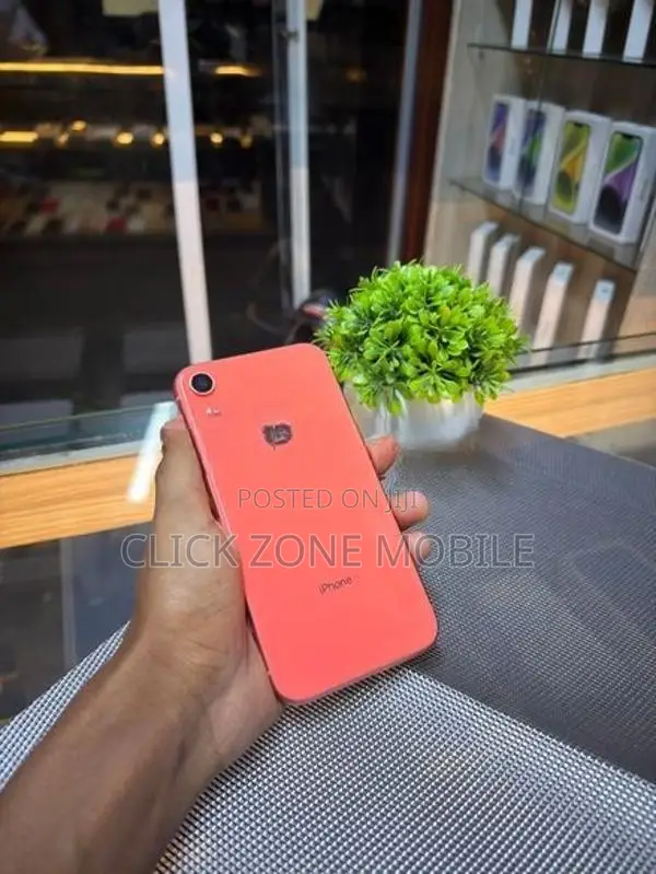 Apple iPhone XR 256GB (Used)