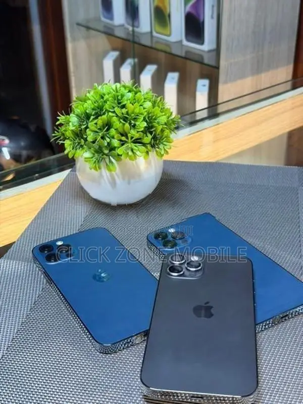 Apple iPhone 12 Pro 256GB (Used)