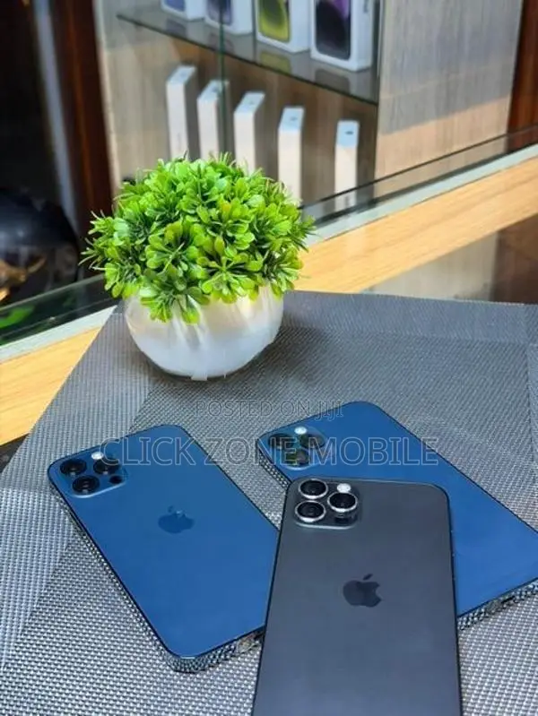 Apple iPhone 12 Pro 256GB (Used)