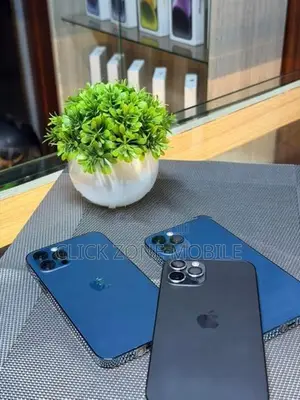 Apple iPhone 12 Pro 256GB (Used)