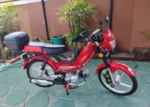 Singer Safari 4S 2026