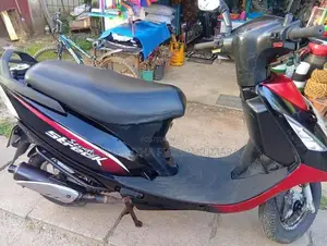 TVS Streak 2011