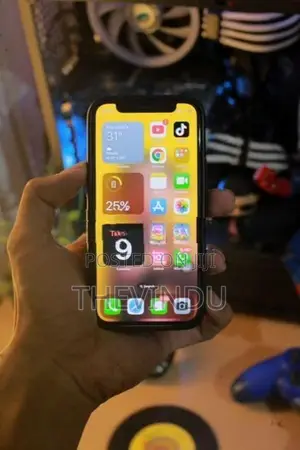 Apple iPhone 12 mini (Used)