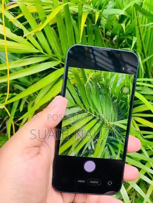 Apple iPhone 14 (Used)
