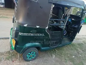 TVS King 2010