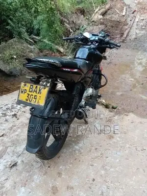 Bajaj Pulsar 135 2013