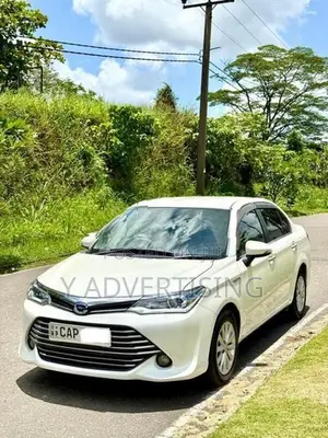 Toyota Axio NKE165 G LTD 2015