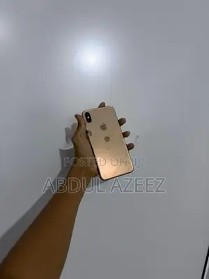 Apple iPhone XS Max 256GB (Used)