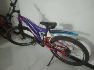 Tomahawk Bicycle