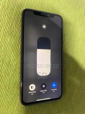 Apple iPhone XS 256GB (Used)