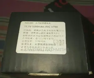 DUPU Battery