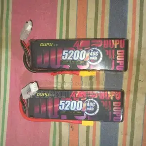 DUPU Battery