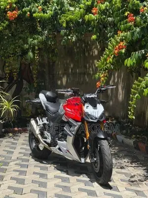 Sharmax RST 250 Bike 2024
