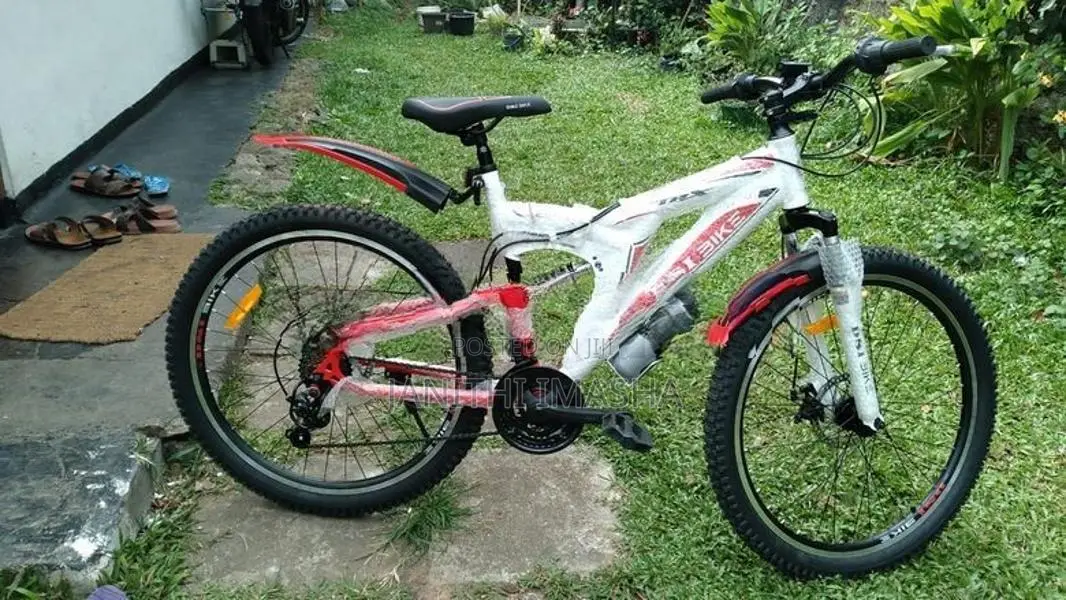 DSI Bike