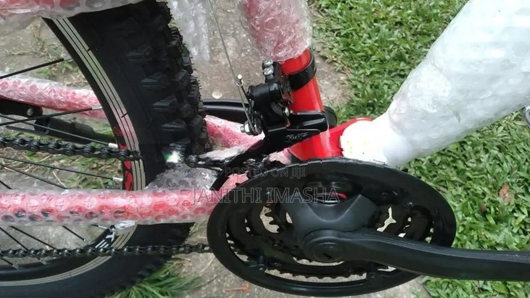 DSI Bike
