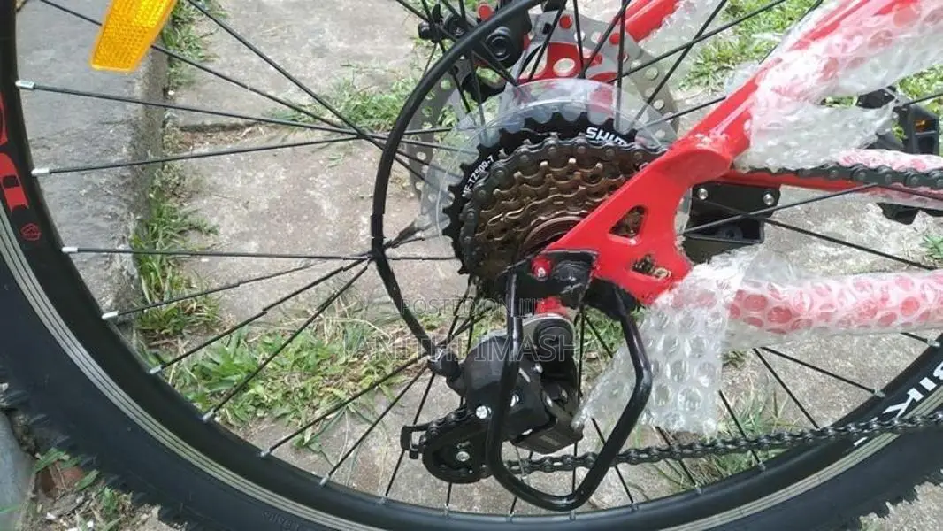 DSI Bike
