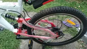 DSI Bike
