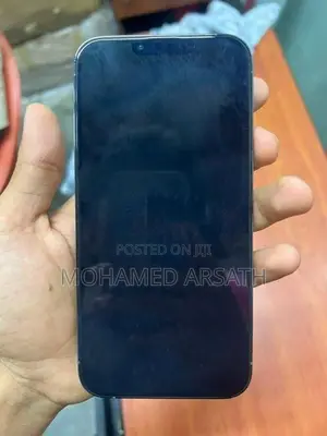 Apple iPhone 13 Pro Max (Used)