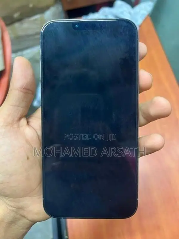 Apple iPhone 13 Pro Max (Used)