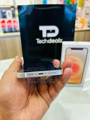 Apple iPhone 12 (Used)