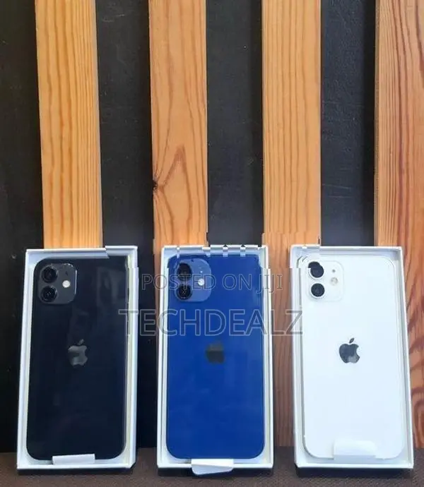 Apple iPhone 12 (Used)