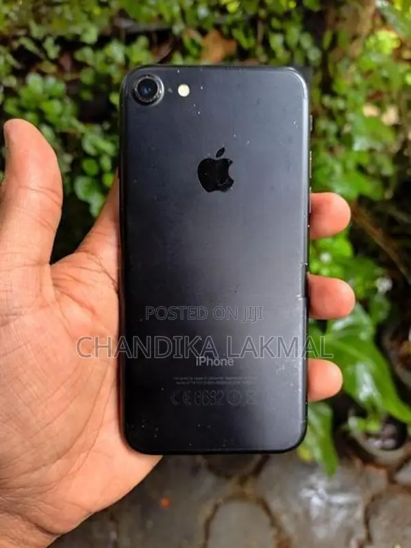 Apple iPhone 7 (Used)