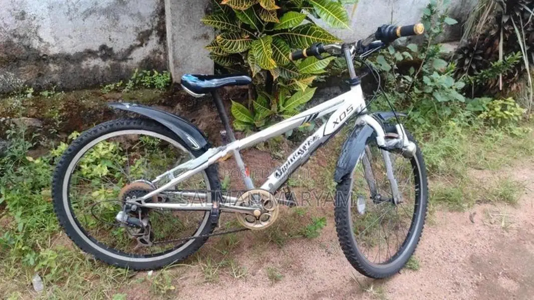 Japan Bicycle