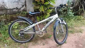 Japan Bicycle