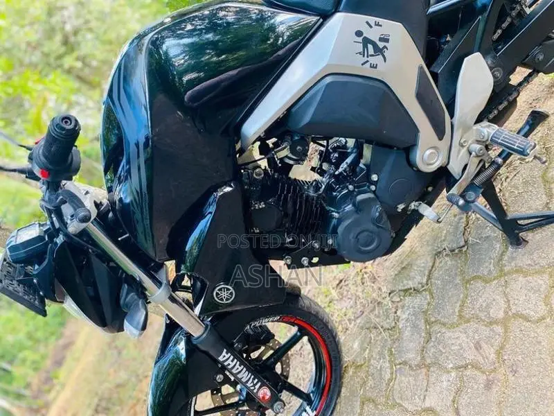 Yamaha FZ V2 2018