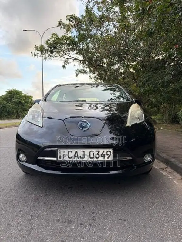 Nissan Leaf 2014