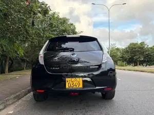 Nissan Leaf 2014