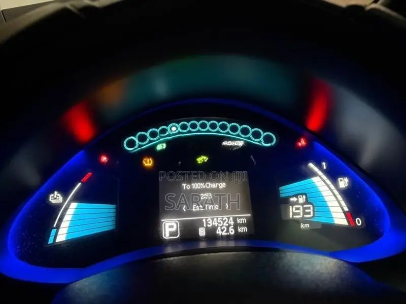 Nissan Leaf 2014
