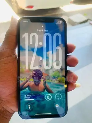 Apple iPhone 12 (Used)