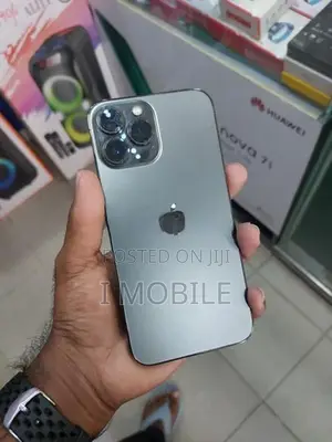 Apple iPhone 13 Pro Max (Used)