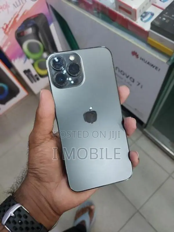 Apple iPhone 13 Pro Max (Used)