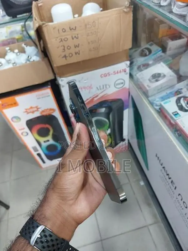 Apple iPhone 13 Pro Max (Used)