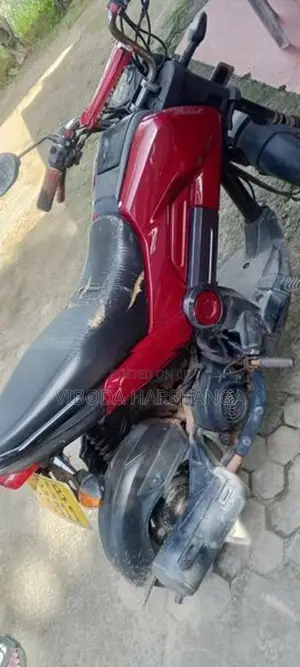 Honda Navi 2019