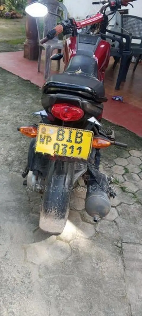 Honda Navi 2019