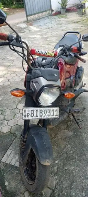 Honda Navi 2019